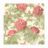 Cole & Son Wallcovering Bourlie Coral PAPER - 100% United Kingdom Horizontal: and Vertical: 20.5 20.5 - My Fabric Connection -