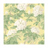 Cole & Son Wallcovering Bourlie Pale Lemon Wallcovering PAPER - 100% United Kingdom </p><p>Repeat: H: , V: 20.5 20.5 - My Fabric Connection -
