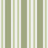 Cole & Son Wallcovering Polo Stripe Leaf Green