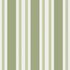 Cole & Son Wallcovering Polo Stripe Leaf Green COLE & SON MARQUEE STRIPES PAPER - 100% United Kingdom Horizontal: 20.5 and Vertical: 0 20.5 - My Fabric Connection -