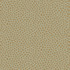 Cole & Son Wallcovering Senzo Spot Olive