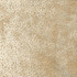 Magnolia Fabric Dotson Bone - 53Ray/47Poly China 17000 Horizontal: 0 and Vertical: 0 54" - My Fabric Connection -