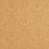 Charlotte Fabric 5541 Gold/Cameo Enchanted Gardens 75% Cotton, 25% Polyester Asia Exceeds 70,000 Wyzenbeek Rubs (Heavy Duty) Horizontal: 7" x Vertical: 7" 54 Inches - My Fabric Connection -