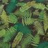 Schumacher Fabric Fernarium Green & Black 177591 CLEMENTS RIBEIRO COTTON 100% UNITED KINGDOM MARTINDALE 18,000 </p><p>Repeat: Horizontal: 54" (137CM) and Vertical: 94" (239CM) 56 - My Fabric Connection -