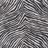 Schumacher Fabric Iconic Zebra Black 177443 Happy Together 27.0" - My Fabric Connection -