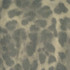 Norbar Fabric Spiro Meadow 100% PVC V-5"V - 5"H 54" - My Fabric Connection -
