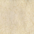 Norbar Fabric Wistful Champagne SHEER IMAGE 100% POLYESTER TURKEY 114 - My Fabric Connection -