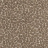 Charlotte Fabric CB900-34 Shades of Neutral 78% Polyester, 22% Cotton China Exceeds 120,000 Wyzenbeek Rubs (Heavy Duty) No Repeat 54 Inches - My Fabric Connection -