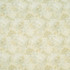Carole Fabric Pretty Lady Parchment Coconut Cream 100% Cotton- Soil & Stain Release South Korea N/A Horizontal: 18 and Vertical: 1775 54 - My Fabric Connection -
