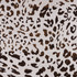 Sunbrella Fabric 145673-0004 Instinct Espresso Sunbrella Fusion Sunbrella® Acrylic, Sunbrella® Polyester USA or Imported 5-Year Horizontal: 28 in. and Vertical: 28 in. 54 in. - My Fabric Connection -