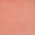 Maxwell Fabric Snug # 401 Coral Performance Velvets-Vol.I 67.2% POLYESTER 32.8% COTTON TURKEY 55" - My Fabric Connection -
