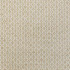 Magnolia Fabric Shiva Dune - 65Poly/35Ctn India 50000 Horizontal: 0.8 and Vertical: 0.75 54" - My Fabric Connection -