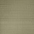 Clarke And Clarke Fabric Slyph Tan WILDERIE BY EMMA J SHIPLEY FOR C&C SILK - 100% India Horizontal: 0 and Vertical: 0 54 - My Fabric Connection -