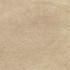 Greenhouse Fabric S2922 Beige S39: Capri Neutrals 80% Polyester, 20% Cotton China 100,000 double rubs </p><p>Repeat: None 55" - My Fabric Connection -