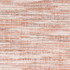 Stout Fabric Sycamore 1 Cottoncandy RAINBOW LIBRARY CAMELLIA/CLAY 100%POL INDIA Horizontal: 0.000 and Vertical: 0.000 54 in - My Fabric Connection -