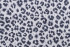 Trend Fabric Jaclyn Smith Liette Ink 2 Yards