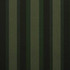 Sunbrella Fabric 4707 Marco Olive 100% Sunbrella Materials USA 5-Year 46 inches (116.84 cm) - My Fabric Connection -