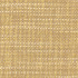 Carole Fabric Endurance Biscotti Head Start 100% Polyester IFR Hybrid India None 54" - My Fabric Connection -