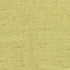 Training Day Lime by Carole Designer Fabric Laguna 92% Polyester, 8% Cotton INDIA N/A None 54" - Swanky Fabrics -