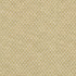 PKL Studio Fabric Parque Gold 412354 82% polyester, 18% cotton India 51000 Horizontal: 0.5 and Vertical: 0.63 54 - My Fabric Connection -