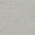 Carole Fabric Greater Good Silver Alliance 76% Polyester, 14% Cotton, 5% Rayon, 5% Linen India 30,000 Wyzenbeek Double Rubs None 55 1/2"" - My Fabric Connection -