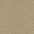 P/K LIFESTYLES Fabric Fern Fair Honey 471095 - 86% polyester, 14% cotton India 51000 Horizontal: 0.62 and Vertical: 1.12 54 - My Fabric Connection -