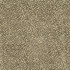 P/K LIFESTYLES Fabric Spotty Dotty Woodland 471245 - 100% polyester China 51000 Horizontal: 14.5 and Vertical: 16.25 56 - My Fabric Connection -