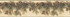 Chesapeake Multicolor Pinecone Forest Wallpaper Birch & Sparrow Covers about 11.3 square feet United States Prepasted Frame the room with this lovely border 9-in by 15-ft long roll - My Fabric Connection -