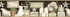 Chesapeake Martha Black Country Bath Wallpaper Homestead Covers about 7.5 square feet United States Prepasted Frame the room with this lovely border 6-in by 15-ft long roll - My Fabric Connection -