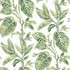 Chesapeake Mangrove Green Botanical Wallpaper Sanibel Covers about 56.4 square feet United States Prepasted 20.5-in repeat, straight match 20.5-in by 33-ft long roll - My Fabric Connection -