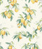 Chesapeake Lemonade Yellow Citrus Wallpaper Wildflower Covers about 56.4 square feet 20.5-in by 33-ft long roll Prepasted 24 - My Fabric Connection -