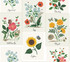 Rifle Paper Co. Botanical Prints White & Pink Wallpaper Rifle Paper Co. Second Edition Covers about 60.8 square feet Unpasted 24-in repeat, drop match 27-in by 27-ft long roll - My Fabric Connection -