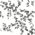 York Wallcoverings Creeping Fig Vine Black & White Wallpaper Simply Farmhouse Covers about 56.4 square feet Unpasted 20.5-in repeat, drop match 20.5-in by 33-ft long roll - My Fabric Connection -