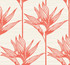 York Wallcoverings Bird of Paradise Coral Wallpaper Tropics Resource Library Covers about 60.8 square feet Prepasted 25.25-in repeat, drop match 27-in by 27-ft long roll - My Fabric Connection -