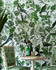 Mind the Gap Wallpaper La Voliere Green Wallpaper THE WALLPAPER COMPENDIUM 1 Textured Matte Made in Europe Paste the wall 3 rolls x 20.5 x 3.25 yards - My Fabric Connection -