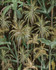 THE JUNGLE Anthracite Wallpaper (WP20523) by Mind The Gap Designer Wallpaper | WP20523 | THE WALLPAPER COMPENDIUM 1 | 3 rolls x 20.5 x 118.1 in | 0.52m / 20.5in | 3m / 118in | 4.65mp | 70cm / 27.6in | Black, Brown, Green | Textured Matte | Paste the wall | 3-rolls in a box | Fabric Carolina | https://www.fabriccarolina.com/