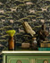 Mind the Gap Wallpaper Countryside By Night Wallpaper TRANSYLVANIAN ROOTS Textured Matte Made in Europe Paste the wall 3 rolls x 20.5 x 3.25 yards - My Fabric Connection -
