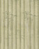 A FABLE Alabaster Wallpaper (WP30001) by Mind The Gap Designer Wallpaper | WP30001 | TRANSYLVANIAN ROOTS | 1 roll x 20.5 x 393.7 in | 0.52m / 20.5in | 10m / 393.7in | 5.20mp | 70cm / 27.6in | Alabaster, Green, White | Satin Matte | Paste the wall | 1-roll in a box | Fabric Carolina | https://www.fabriccarolina.com/