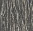 Antonina Vella Native Leaves Black Wallpaper Antonina Vella Elegant Earth Covers about 60.8 square feet 27-in by 27-ft long roll Unpasted 25.25 - My Fabric Connection -