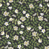 Rifle Paper Co. Primrose Off White & Black Peel & Stick Wallpaper Rifle Paper Co. Premium Peel & Stick Covers about 34.2 square feet 20.5-in by 20-ft long roll Peel & Stick 20.5 - My Fabric Connection -