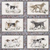 Schumacher Wallpaper Chasers Legacy Slate 5016080 A Country Life 27.0" - My Fabric Connection -
