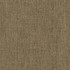P/K Lifestyles Fabric Accent Walnut - 97% polyester, 3% cotton India 50000 Horizontal: 0 and Vertical: 0 54 - My Fabric Connection -