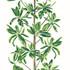 Thibaut Wallpaper Mangrove Tree Green and White T45035 Wallpaper Wallpaper U.S.A </p><p>Repeat: H: , V: 36   (91.44  cm) 27  in  (68.58  cm) - My Fabric Connection -