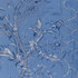 Brunschwig & Fils - Drapery - 8024101.55.0 - Drapery - COTTON - 100% - France </p><p>Repeat: H: , V: 27.5 21 - My Fabric Connection -
