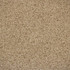 Greenhouse Fabric F6079 Cafe - 100% Polyester China 90000 None 54" - My Fabric Connection -