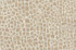 Norbar Fabric Gimlet Latte 220 PANAMA 73% POLYESTER 23% COTTON INDIA 11 1/2"V 6 3/4"H 54" - My Fabric Connection -