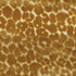 RM CoCo Fabric Roar Goldenrod Gemstones II Imperial Topaz to Tibetan Coral 60% Rayon 40% Polyester See Sample 37000 Horizontal: 14 and Vertical: 14.25 58 - My Fabric Connection -