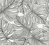 Seabrook Wallpaper Tarra Monstera Leaf Contrasto Summer House  United States 60.75 25.2" 27"  - My Fabric Connection -