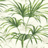 Seabrook Wallpaper Tropical Palm Leaf Green and Off-White NextWall Peel & Stick  United States 30.75 20.87" 20.5"  - My Fabric Connection -