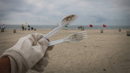 Victoria is banning single-use plastic straws, plates and cutlery by 2023